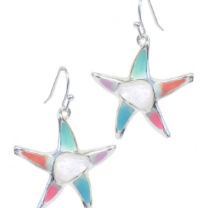 CC139-Multi-Colour-Starfish-Earrings-